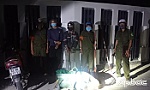 Bắt 2 đối tượng chuyên trộm mèo