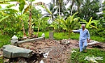 Về 2 vụ việc liên quan đến xâm phạm mồ mả, hài cốt