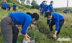 Chương trình Cầu vồng xanh với nhiều hoạt động bảo vệ môi trường