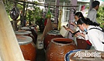 Ước tính có khoảng 390 triệu ca nhiễm vi rút Dengue mỗi năm