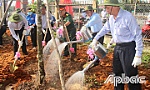 Tiền Giang: Phát động 