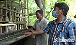 Hoàn thành tiêu chí Thu nhập trong xây dựng nông thôn mới