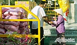 Hội Chữ thập đỏ xã Nhị Quý: Thiết thực các hoạt động nhân đạo