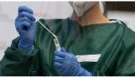 Nhà khoa học Bỉ giải trình tự gene của virus gây bệnh đậu mùa khỉ