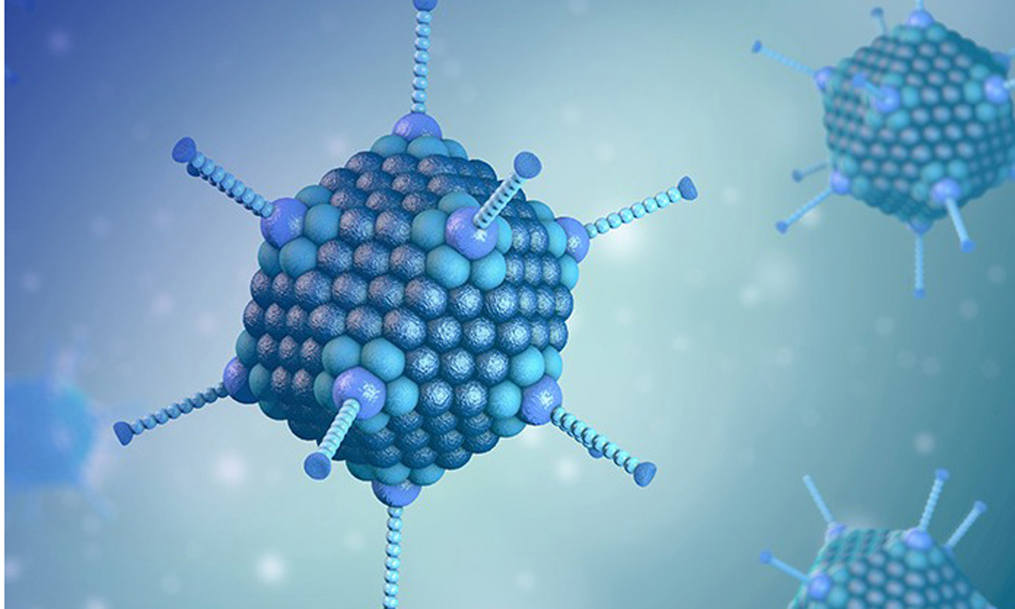 Adenovirus hiện là tác nhân được nghi ngờ gây ra bệnh viêm gan bí ẩn. (Ảnh: Shutterstock)