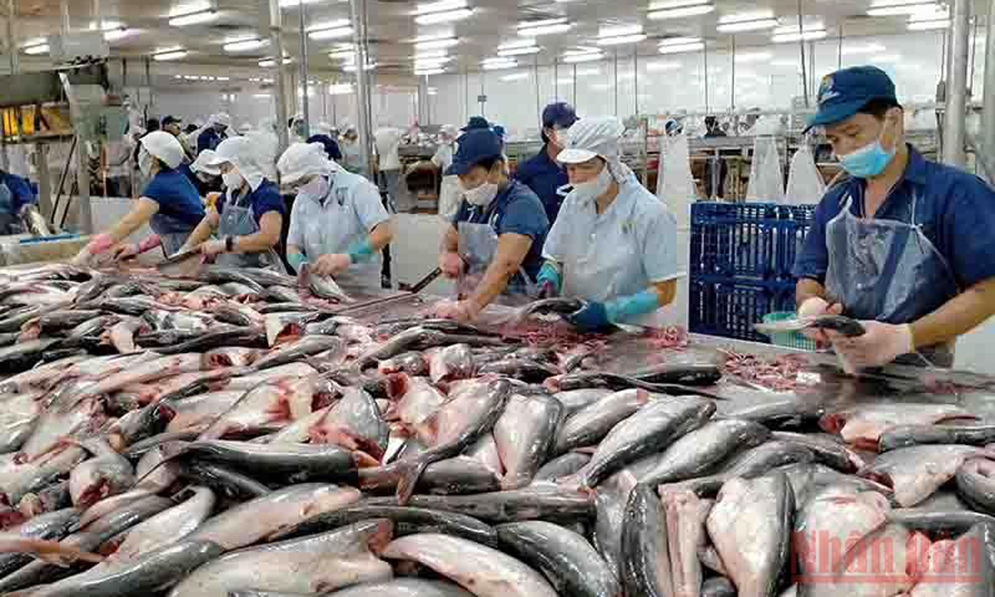 Thủy sản là một trong những mặt hàng xuất khẩu chủ lực.