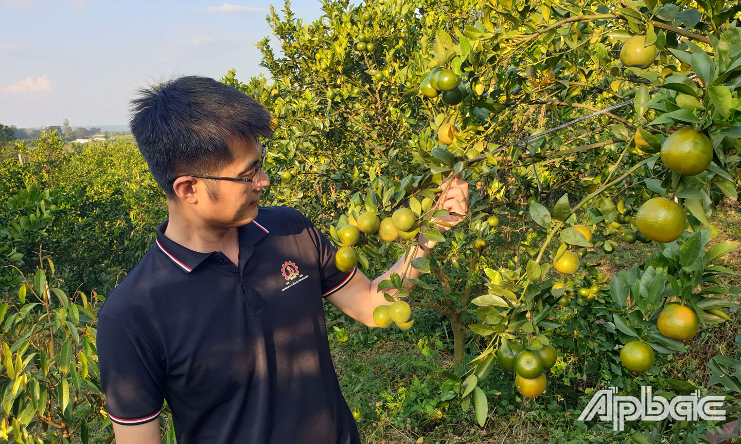 Anh Lê Trọng Kha tại vườn của mình.