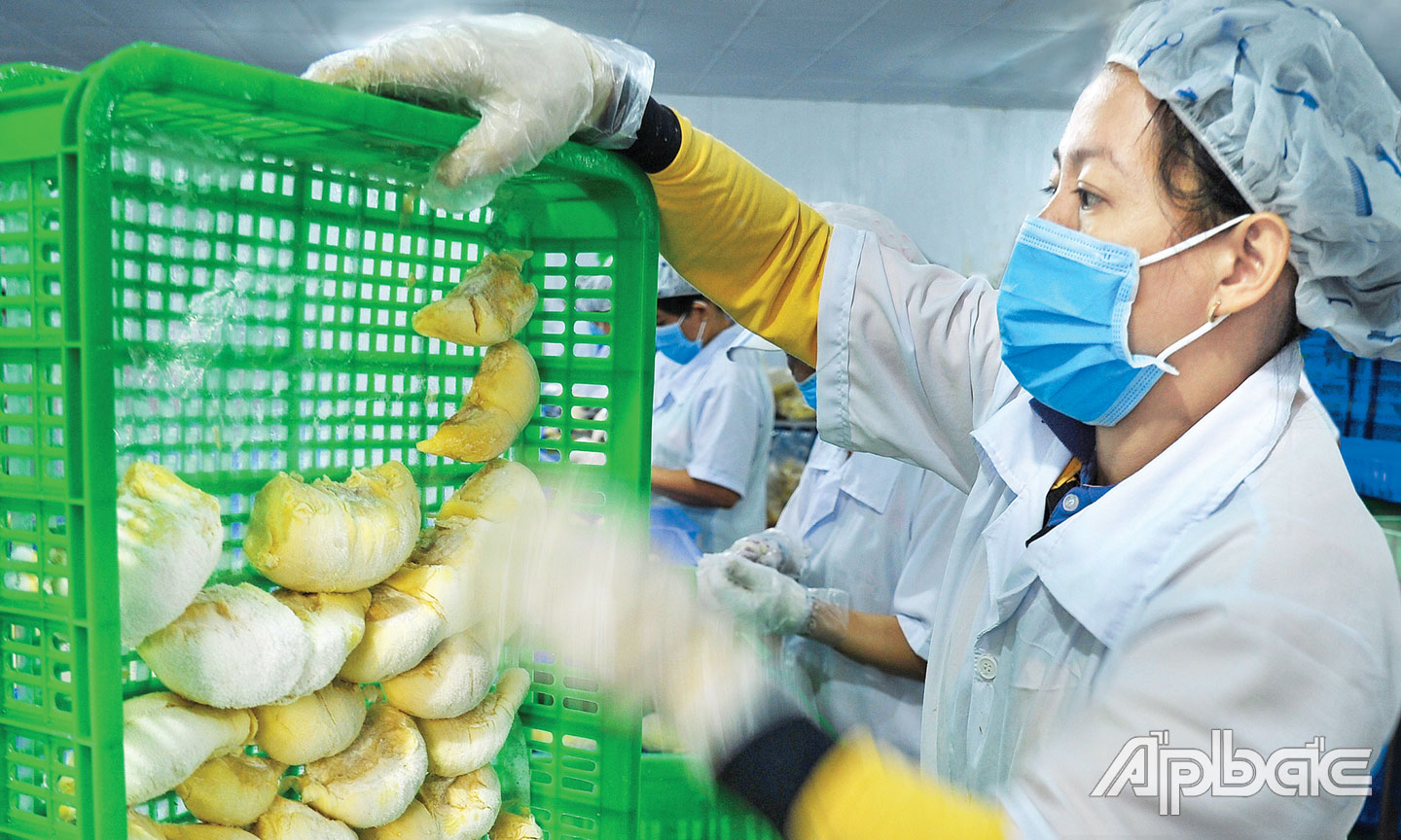 Năm 2021, dù đối mặt với nhiều khó khăn, nhưng kim ngạch xuất khẩu của tỉnh đạt gần 3 tỷ USD, xếp vị trí thứ 2 trong các tỉnh ĐBSCL. 