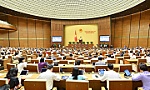 Đại biểu Quốc hội: Tăng cường kiểm soát giá, chống các hành vi 