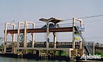 Chủ động điều tiết nước, đảm bảo an toàn sản xuất