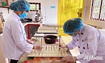 Bánh quy dừa - Lan tỏa hương vị bánh quê