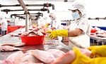 Nông sản, thực phẩm Việt: Rộng cửa vào châu Âu