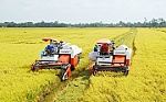Đổi mới tư duy, thúc đẩy phát triển nông nghiệp và nông thôn bền vững vùng đồng bằng sông Cửu Long