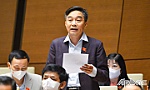 Nhiều 
