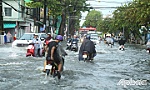 Sau cơn mưa 3 tiếng, nhiều tuyến đường ở Mỹ Tho ngập nặng