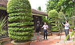 Bài cuối: Tác nghiệp trên môi trường số