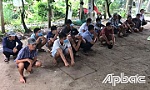 Triệt phá tụ điểm đá gà tại xã Hậu Mỹ Bắc A