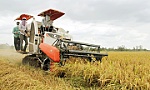 Phát triển bền vững ĐBSCL thích ứng với biến đổi khí hậu
