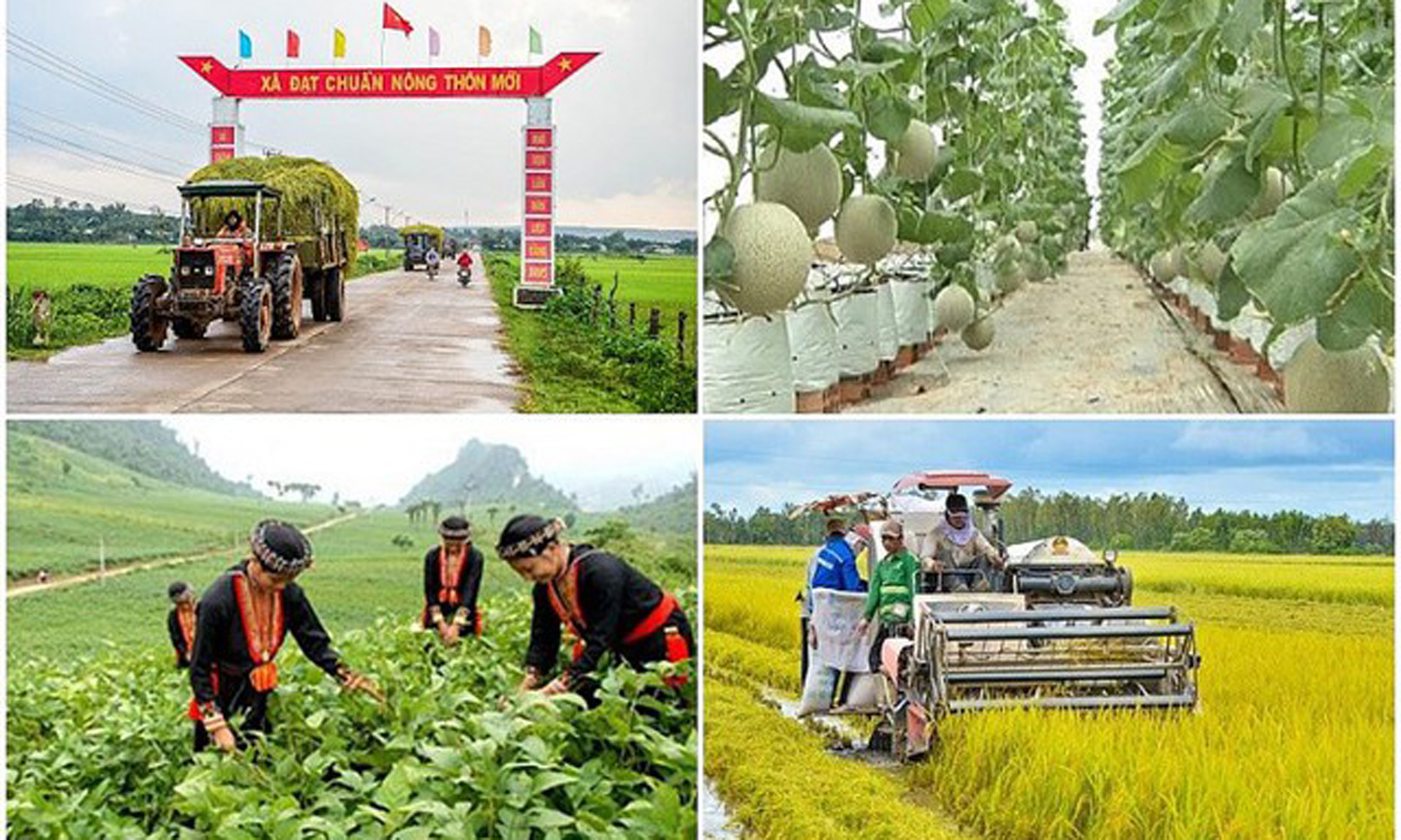 Phong trào thi đua “Vì người nghèo – Không để ai bị bỏ lại phía sau” giai đoạn 2021 – 2025.