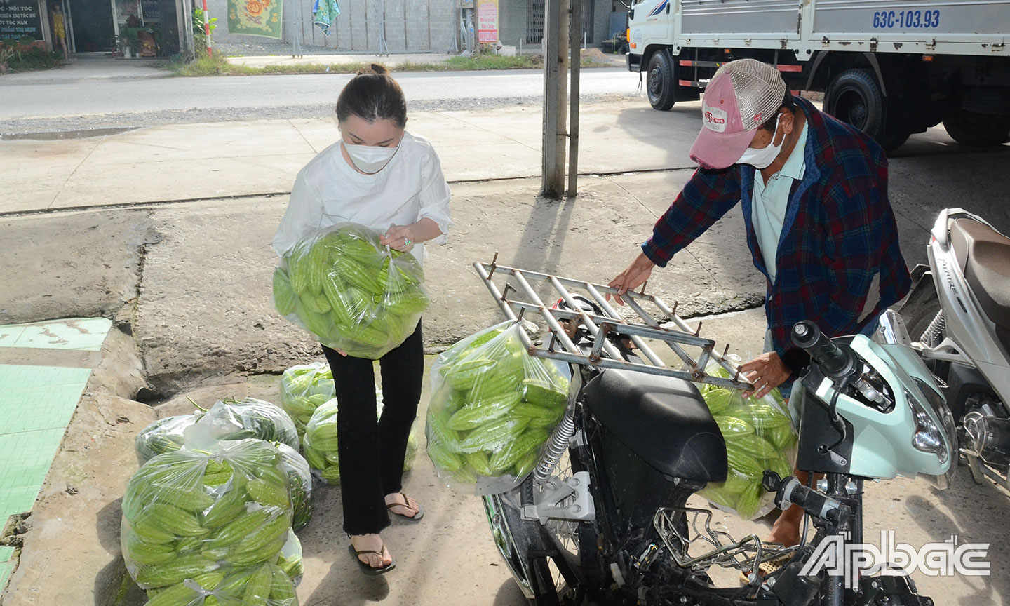 Thu mua nông sản tại HTX Tân Lý Tây.