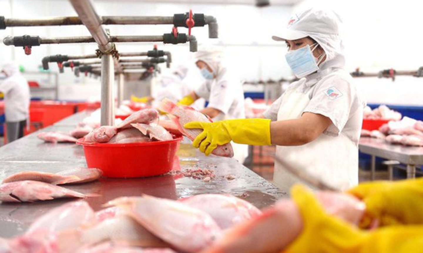 Công nhân chế biến hàng xuất khẩu tại một doanh nghiệp ở TPHCM. Ảnh: HOÀNG HÙNG