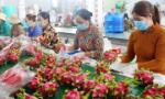 Hỗ trợ nông dân tìm thị trường