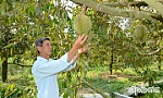 BÀI 1: Sức hấp dẫn