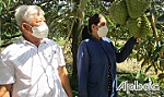 Cùng xây tổ ấm