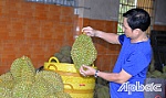 Bài cuối: Chất lượng quyết định