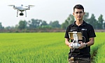 Chàng trai 9X đưa máy bay phun thuốc vào cánh đồng