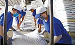 Lượng gạo Việt Nam xuất khẩu sang Anh sụt giảm 20%