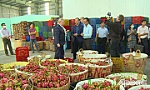 Đoàn Cao ủy phụ trách nông nghiệp của Ủy ban Châu Âu tham quan Hợp tác xã Mỹ Tịnh An