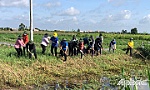 Sinh viên xung kích tình nguyện vì cộng đồng