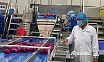 Đoàn công tác Ban Kinh tế Trung ương thăm Nhà máy Thabico Tiền Giang