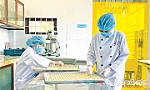 Kỹ thuật viên ngành Y khởi nghiệp với bánh quy dừa