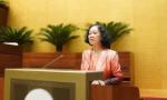 Trưởng Ban Tổ chức Trung ương Trương Thị Mai: 