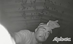 Cảnh giác trộm đột nhập lấy cắp tổ yến