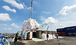 Bài 2: Để hạt gạo hóa 