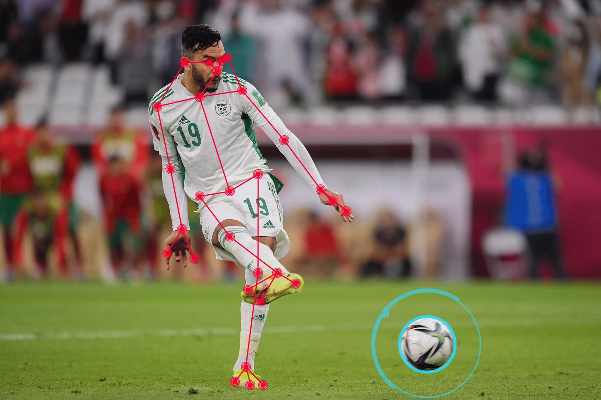 Vị trí 29 điểm dữ liệu của từng cầu thủ tại World Cup 2022. (Ảnh: FIFA)