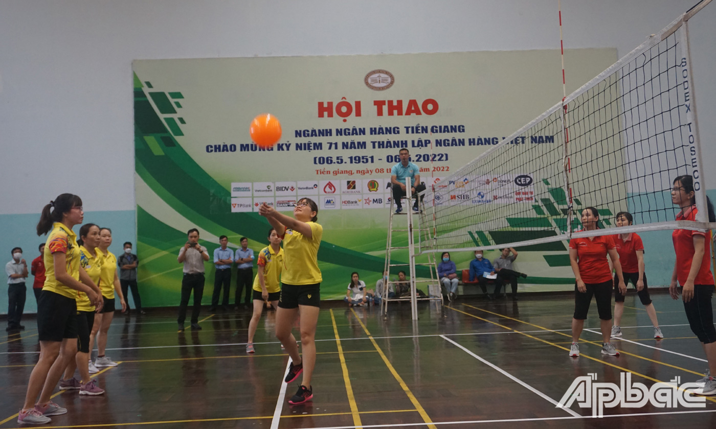 Các đội tham gia thi đấu