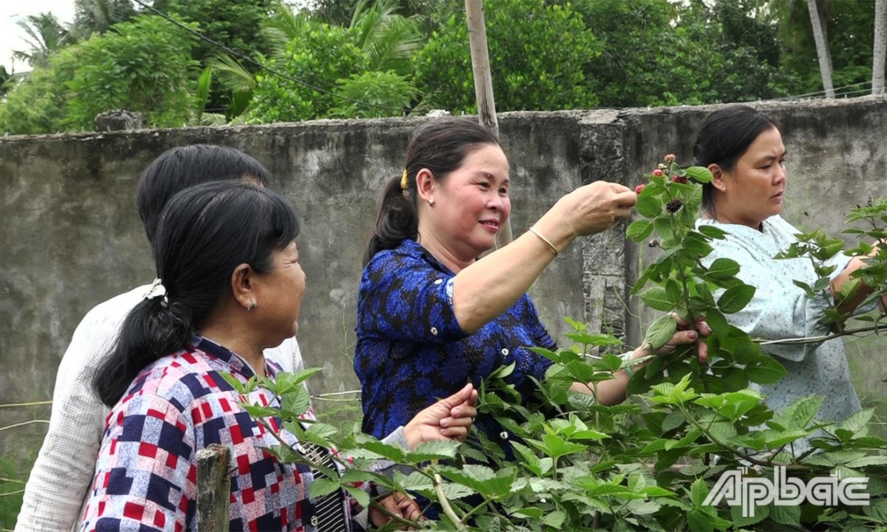 Vườn rau nhà chị Thủy (áo xanh thứ 2 từ trái sang) được tưới bằng nước phân hữu cơ ủ từ rác thải rau củ quả, tiết kiệm chi phí mà vẫn xanh tốt.