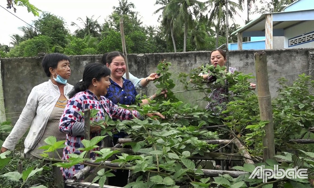Hội viên phụ nữ tham quan cách ủ rác hữu cơ tại nhà chị Thủy