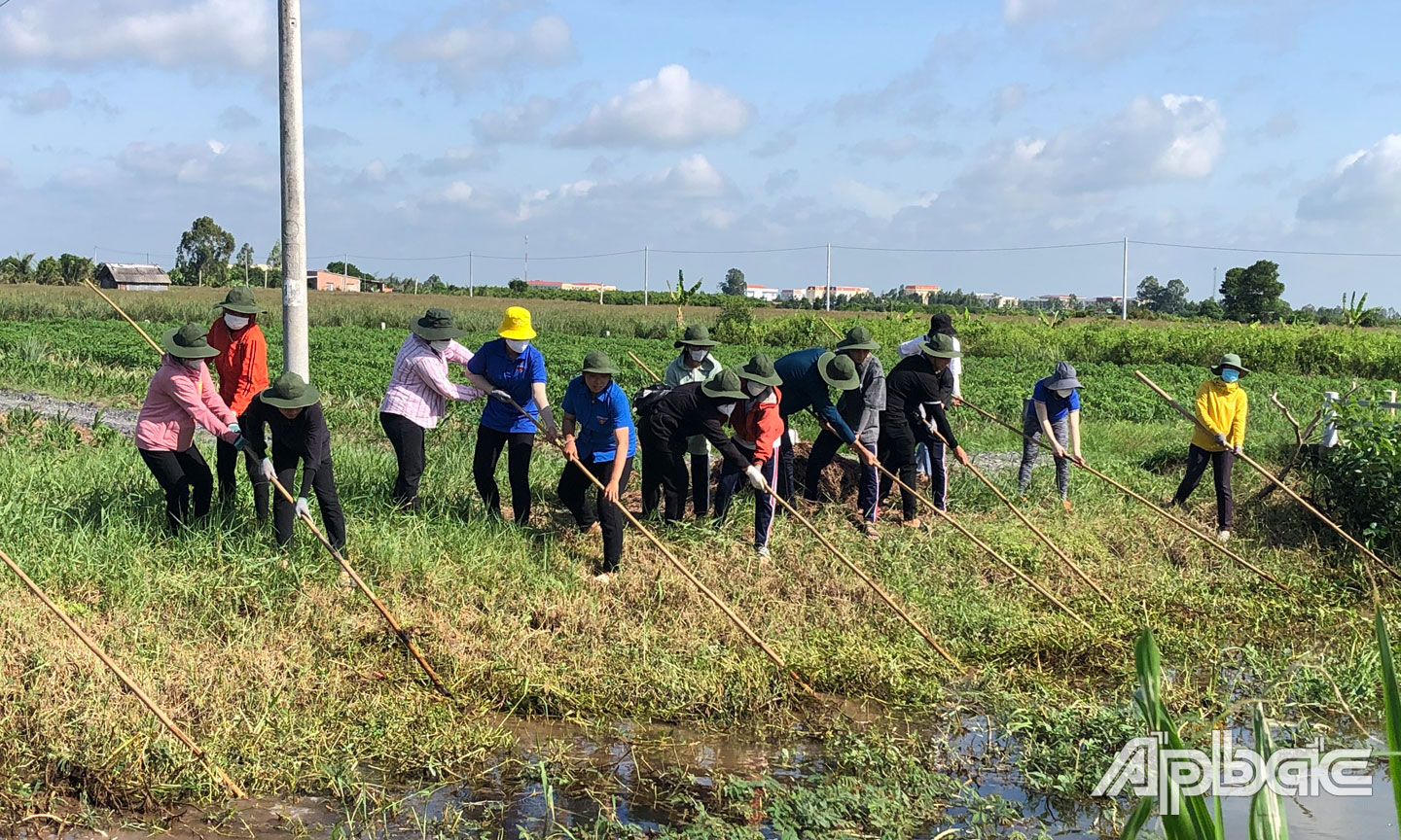  Sinh viên tình nguyện Trường ĐHTG tham gia trục vớt lục bình, khai thông dòng chảy tại xã Phú Thạnh, huyện Tân Phú Đông.