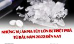 Những vụ án ma túy lớn bị triệt phá từ đầu năm 2022 đến nay
