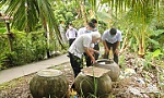 Tiền Giang ghi nhận trên 3.600 trường hợp mắc sốt xuất huyết