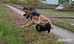 Yên Luông: Từ xã khó đến xã nông thôn mới