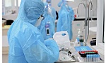 Việt Nam đã ghi nhận ca COVID-19 nhiễm biến thể phụ BA.4, BA.5, BA.2.74