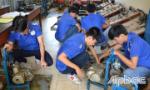 Nhân lực cho vùng đồng bằng