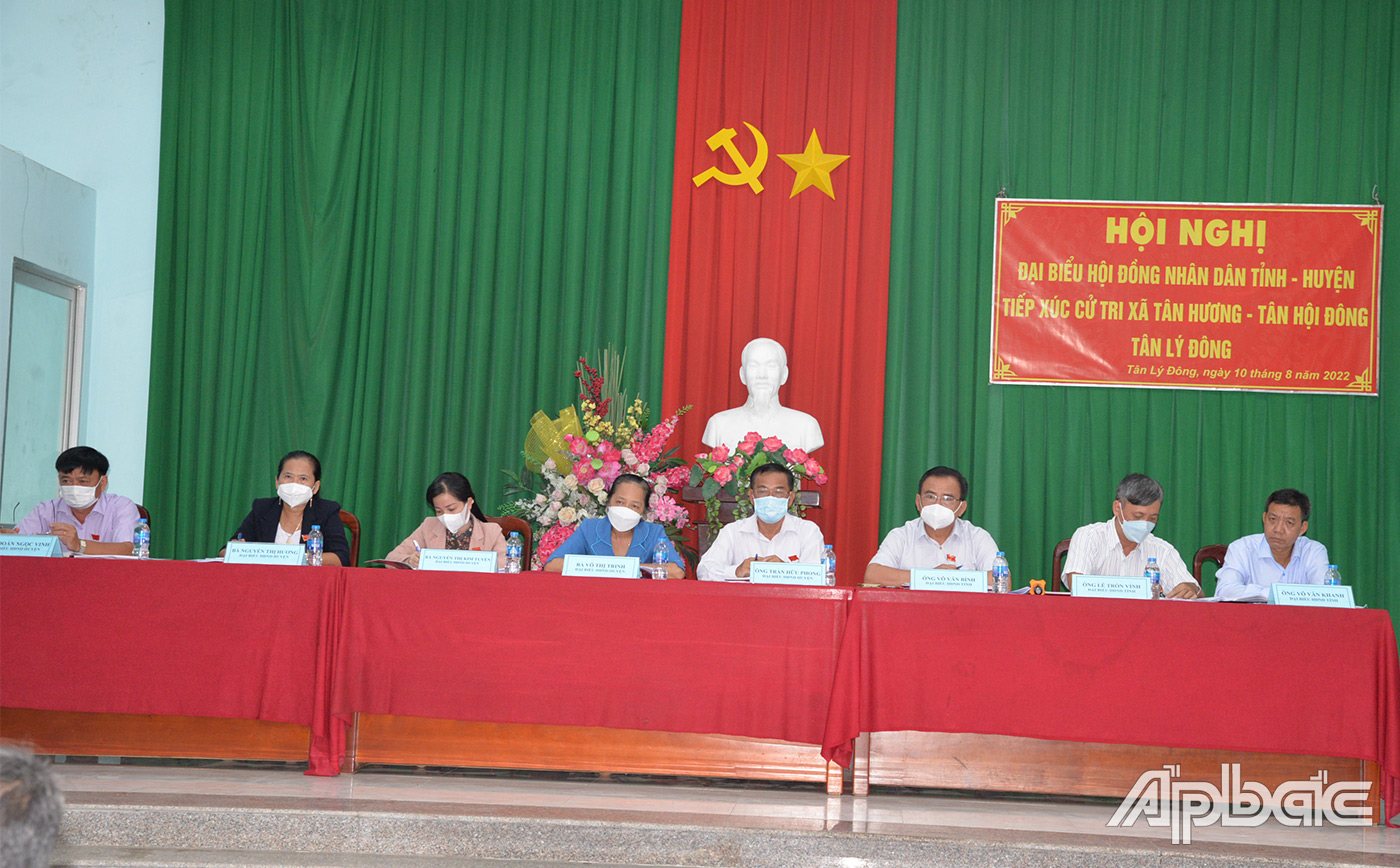 Đại biểu HĐND tỉnh, huyện nghe ý kiến cử tri phát biểu