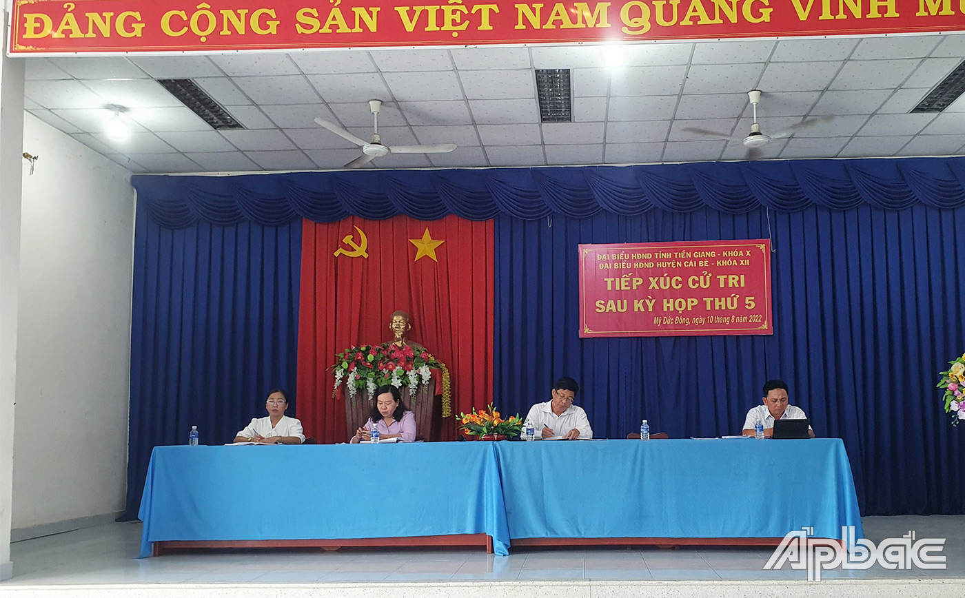 Đại biểu HĐND tỉnh, huyện nghe ý kiến cử tri phát biểu